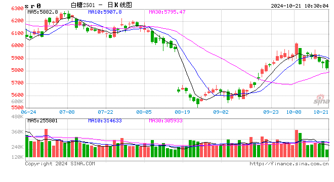 光大期货软商品类日报10.21