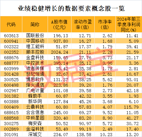 新人气王来了，公司连续提示风险！数据资产入表加速，业绩稳健增长+低市净率+低市盈率股稀缺